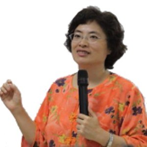 许维素