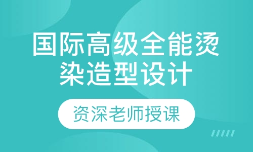 国际高级全能烫染造型设计班