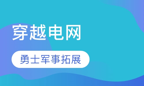 穿越电网