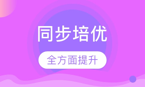 小学全科同步培优辅导