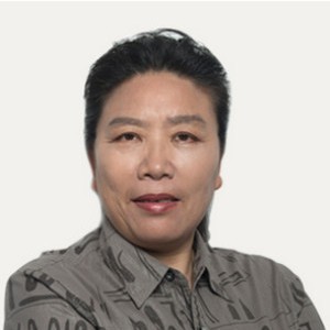 宋美凤