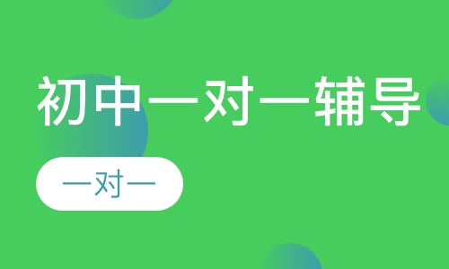 初中一对一辅导