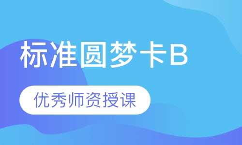 标准圆梦卡B