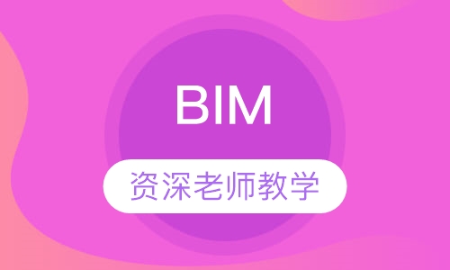 BIM