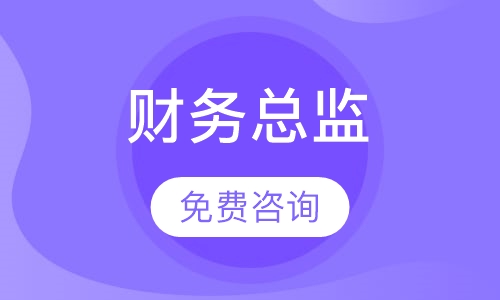 注册财务总监
