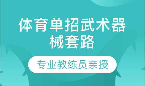 体育单招武术器械套路