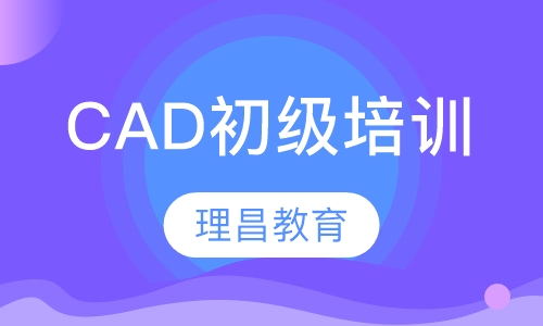 CAD初级培训