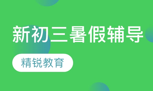 新初三暑假辅导