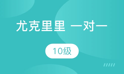 尤克里里一对一  10级