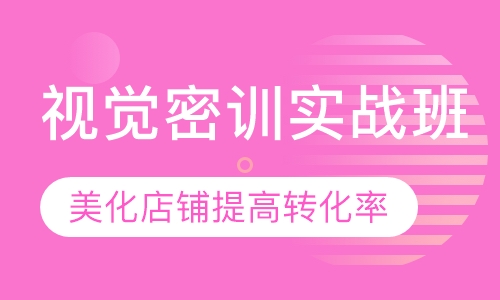 视觉密训实战班