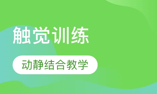 触觉训练