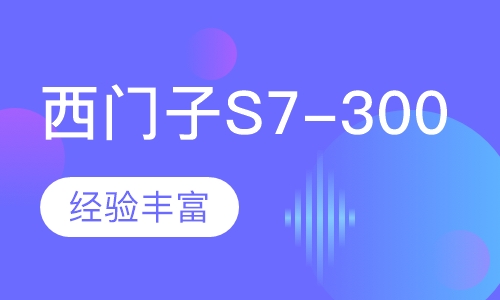 西门子S7-300PLC