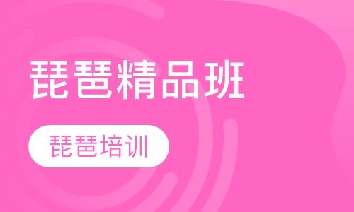琵琶精品班