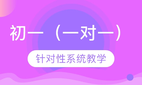 初一（一对一）