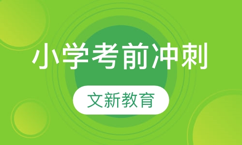 小学考前冲刺
