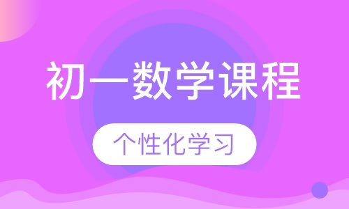 初一数学同步课程