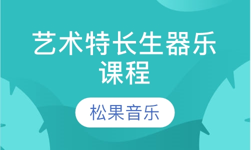 艺术特长生器乐课程