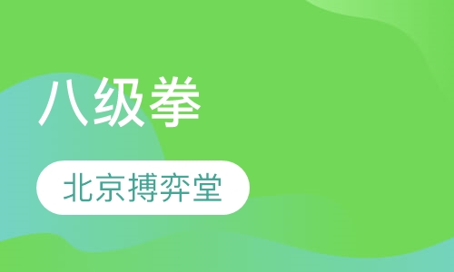 八级拳