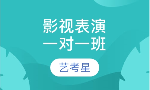 影视表演一对一班