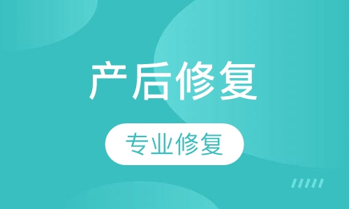 产后修复服务