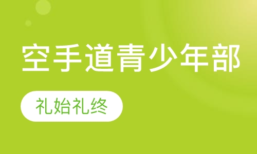 极真空手道动作简单易学，适合少年儿童练习