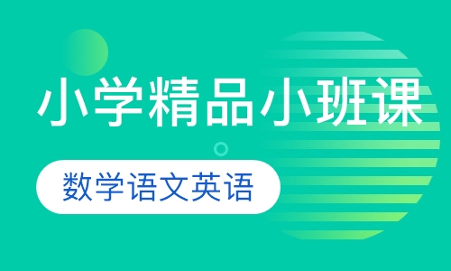 小学精品小班课