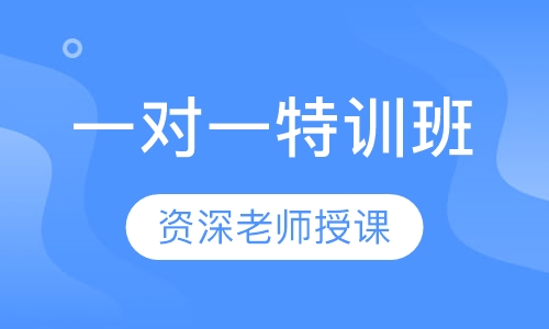 一对一特训班