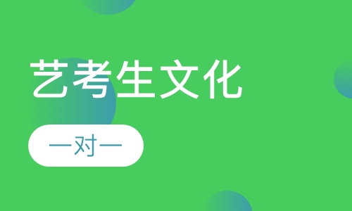 艺考生文化