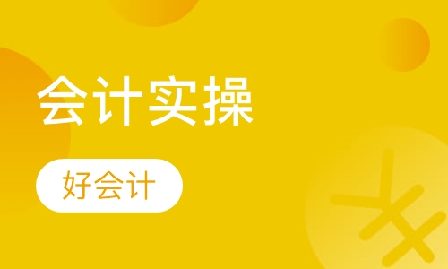 会计实操