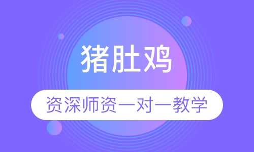 猪肚鸡