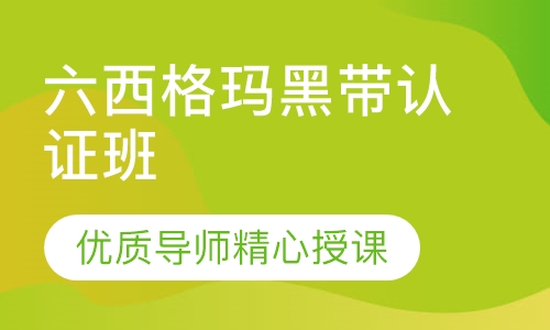 六西格玛黑带认证班