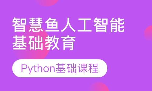 双师课+录播课+直播课Python基础课程