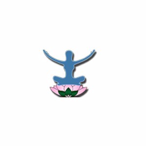 佛山清莲国际瑜伽（肚皮舞）学院