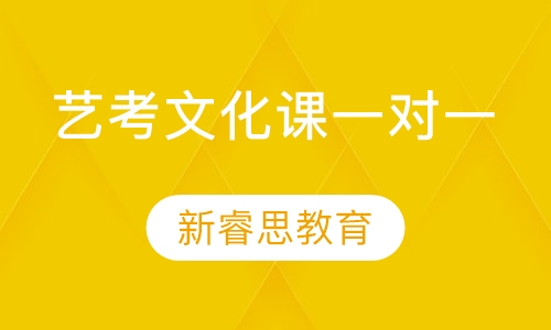 艺考文化课一对一