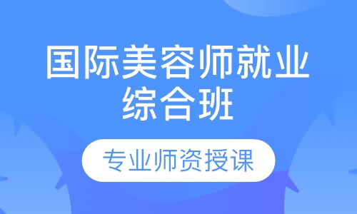 国际师就业综合班