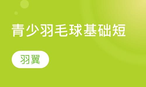 青少年羽毛球基础短训练
