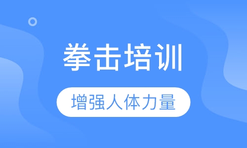 拳击培训