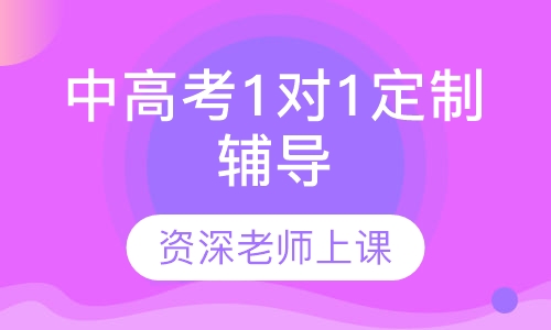 中高考1对1定制辅导