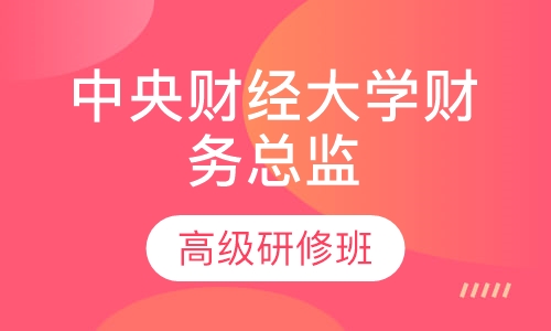 中央财经大学财务总监高级研修班