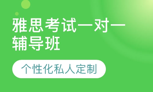 直播课雅思考试一对一辅导班