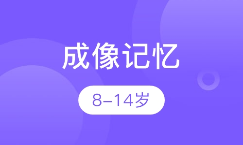 成像记忆