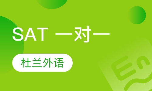 SAT 一对一