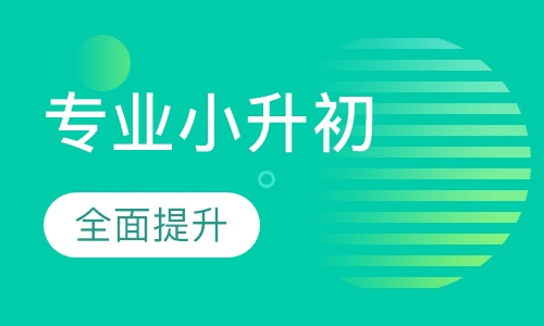 专业小升初