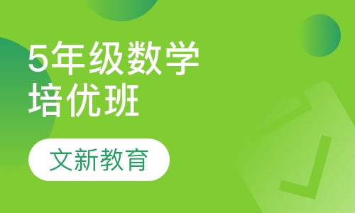 5年级数学培优班