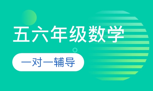 小学五六年级数学辅导