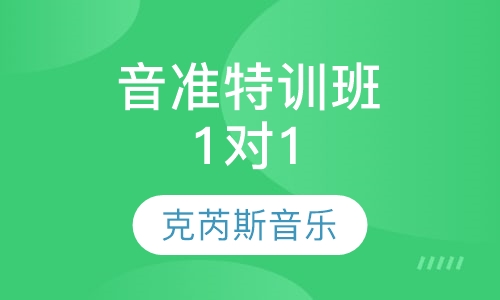 音准特训班 1对1