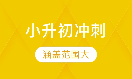 小升初冲刺辅导班