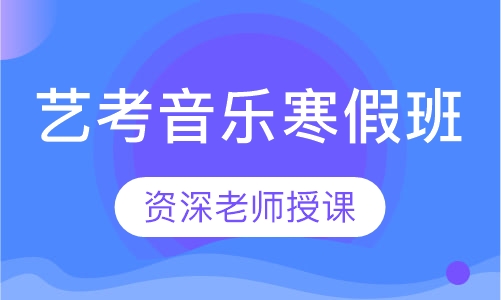 艺考音乐寒假班