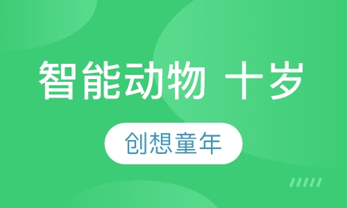 智能动物 十岁