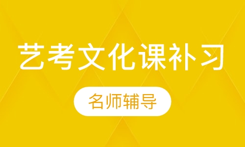 美术生高三艺考文化课辅导